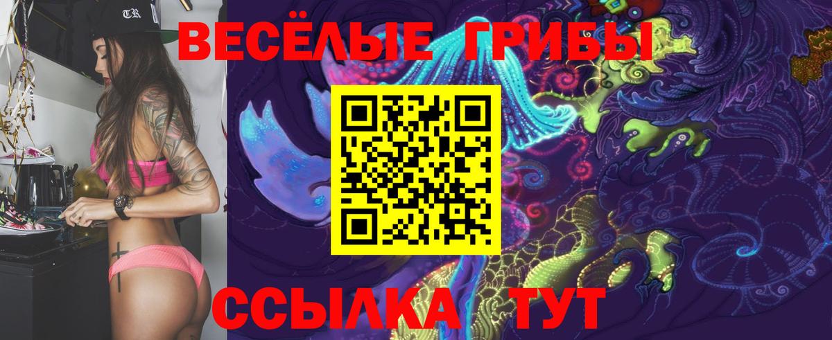 Донской  Галлюциногенные грибы MAGIC MUSHROOMS  Псилоцибиновые грибы GOLDEN TEACHER  цены наркотик  Вход с VPN 