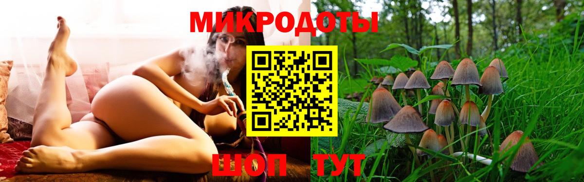 Галлюциногенные грибы Cubensis Донской